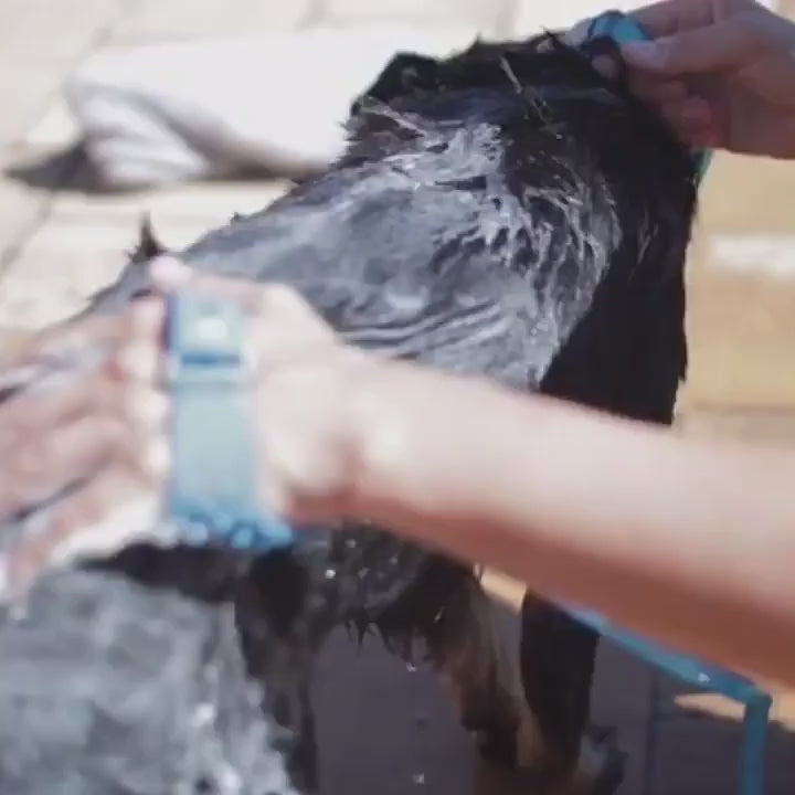 Charger la vidéo : Jet d&#39;Eau pour Chien avec Gant de Lavage Bleu